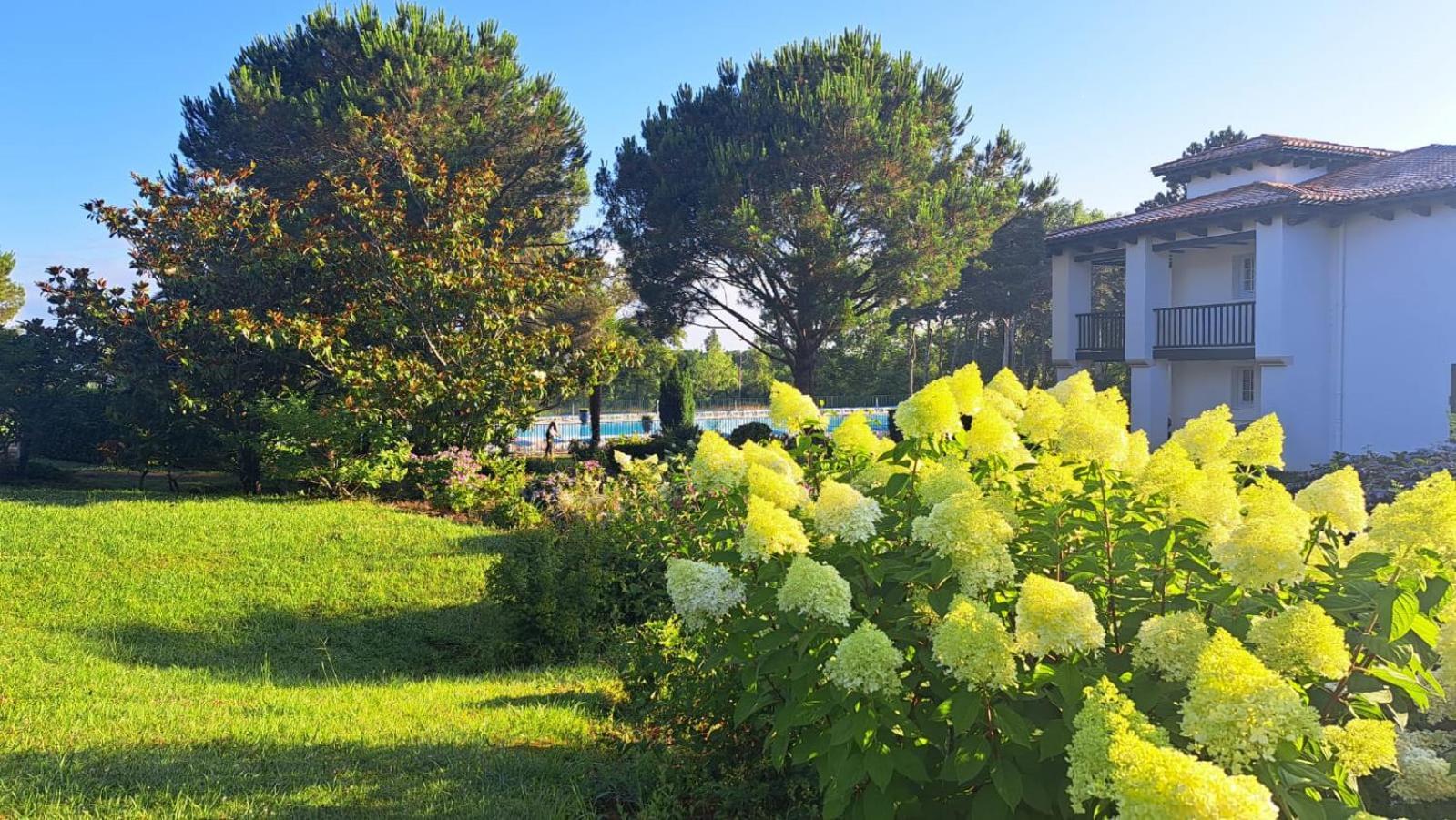 Apartamento Atlantic Selection - Domaine De Bordaberry - Terrasse & Superbe Piscine Urrugne Exterior foto